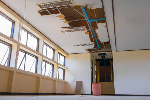 Best Water damage restoration near me  in Kenwood, OH