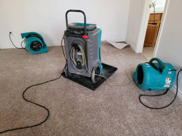 Best 24/7 water damage repair  in Kenwood, OH