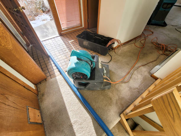 Best Sewage cleanup and water damage restoration  in Kenwood, OH