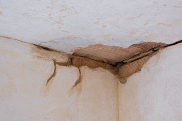 Best Local water damage restoration  in Kenwood, OH