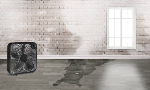 Best Water damage restoration cost  in Kenwood, OH
