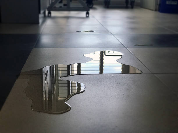 Best Water damage restoration near me  in Kenwood, OH