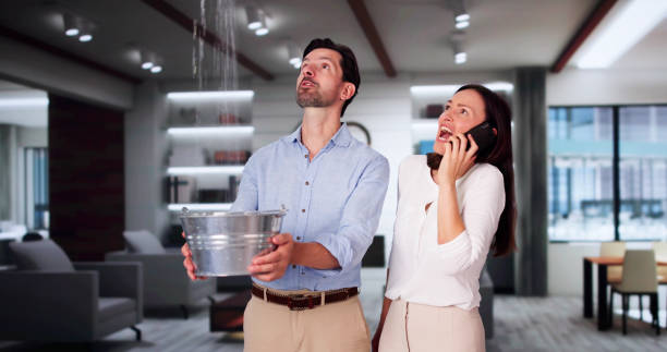 Best Ceiling water damage repair  in Kenwood, OH