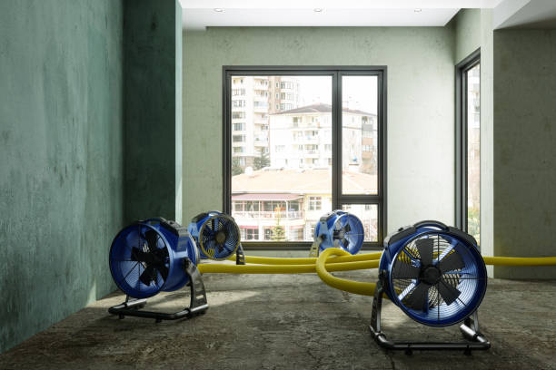 Best Mold removal after water damage  in Kenwood, OH